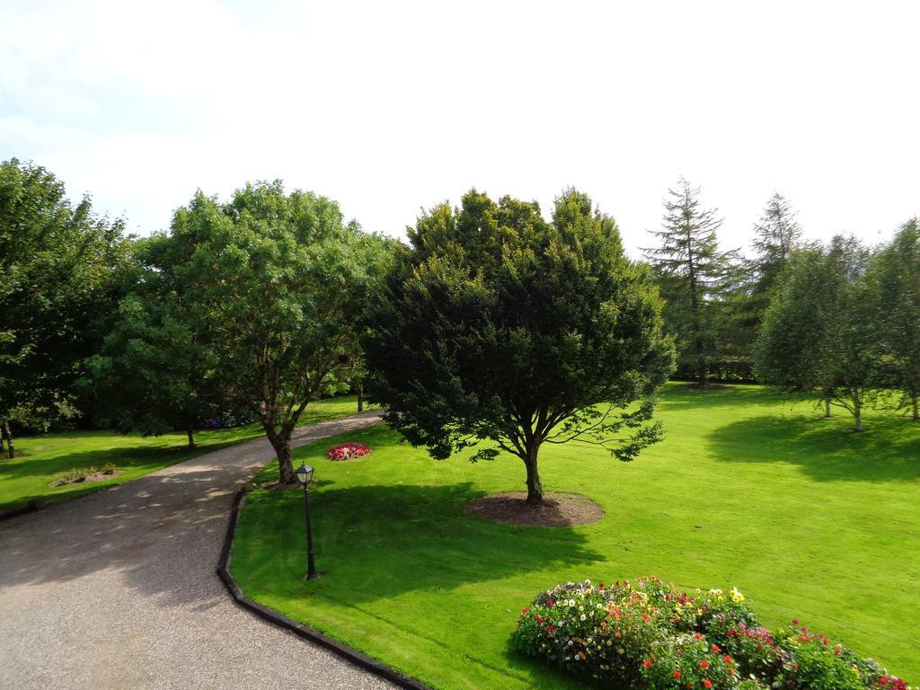 Redwood Bed & Breakfast Dunrine Bagian luar foto