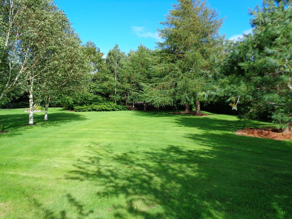 Redwood Bed & Breakfast Dunrine Bagian luar foto