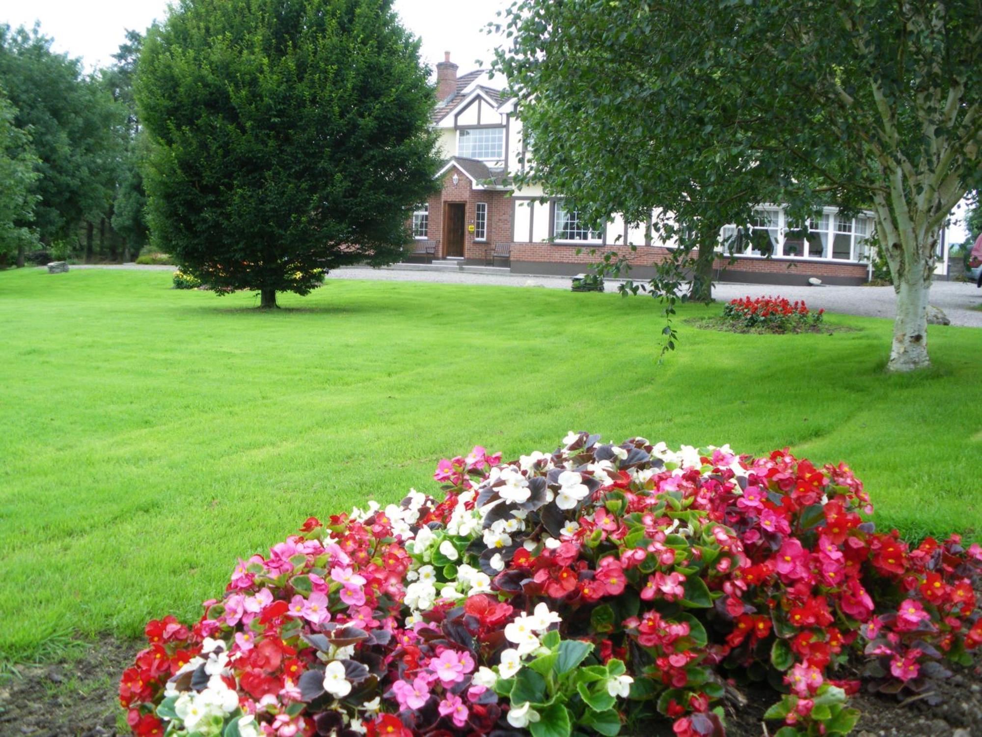 Redwood Bed & Breakfast Dunrine Bagian luar foto