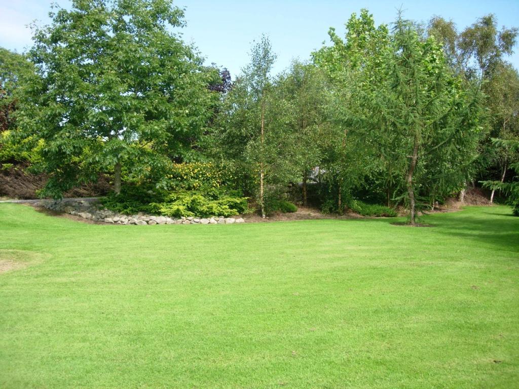 Redwood Bed & Breakfast Dunrine Bagian luar foto