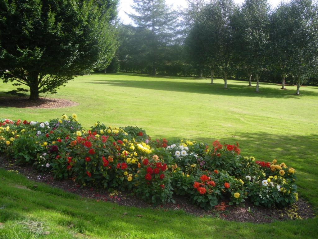 Redwood Bed & Breakfast Dunrine Bagian luar foto